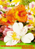 Fleur d'anniversaire pour un moment lumineux
